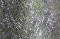 Eastergate fibreglass roof work